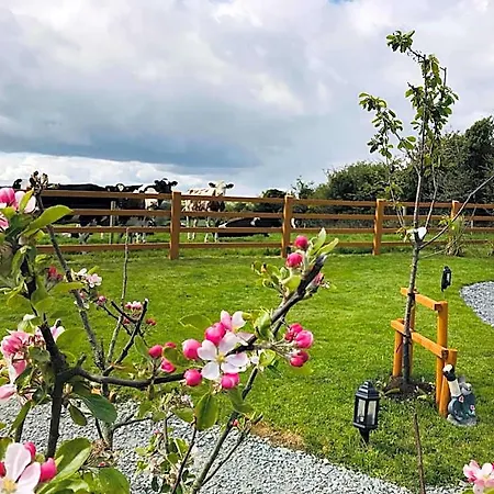 Clonakilty Accommodation Lodge Clonakilty