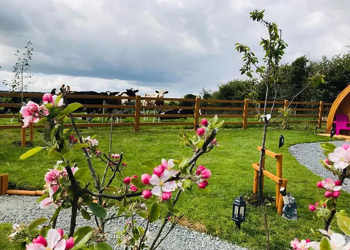 Clonakilty Accommodation *