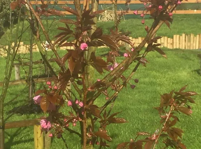 Clonakilty Accommodation * Clonakilty